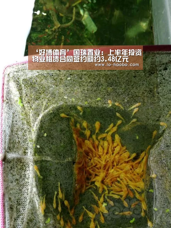 好博体育官方网站